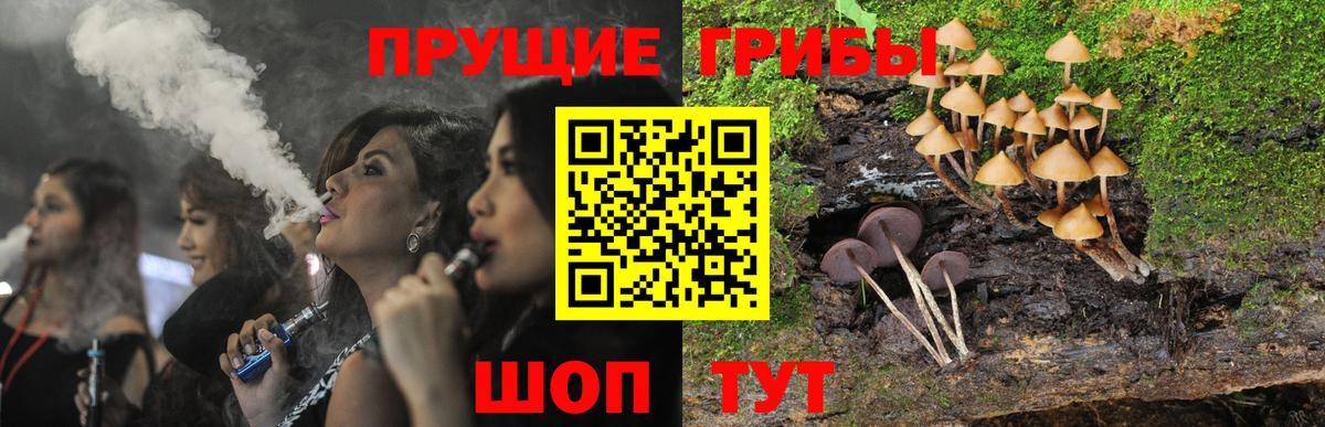 Галлюциногенные грибы ЛСД Нальчик